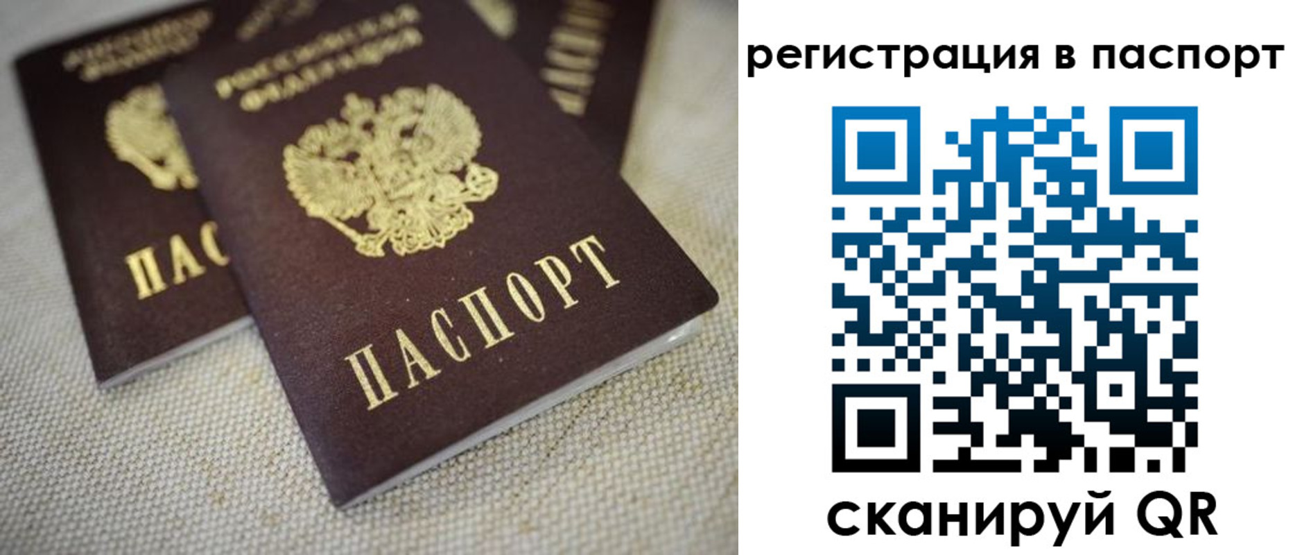 прописка гарантия в Мордовии
